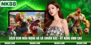 Cách Xem Màu Mạng Đá Gà Chuẩn Xác - Kỹ Năng Đỉnh Cao