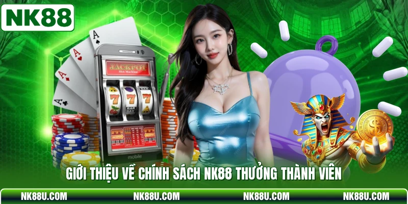 Giới thiệu về chính sách NK88 thưởng thành viên