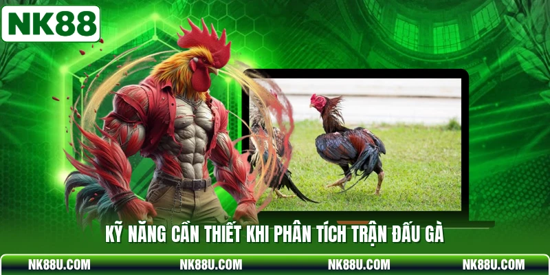 Kỹ năng cần thiết khi phân tích trận đấu gà
