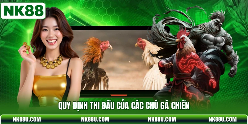 Quy định thi đấu của các chú gà chiến