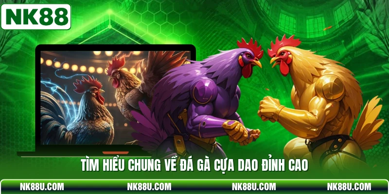 Tìm hiểu chung về đá gà cựa dao đỉnh cao