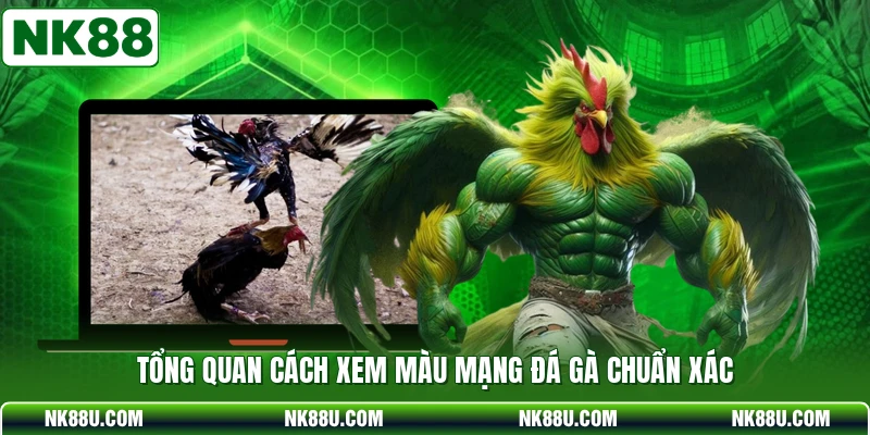 Tổng quan cách xem màu mạng đá gà chuẩn xác